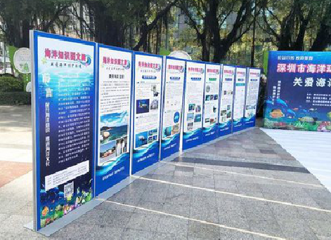 岳西KT板的种类和知识。